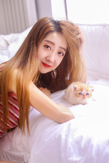 热血长安在线观看完整版免费观看